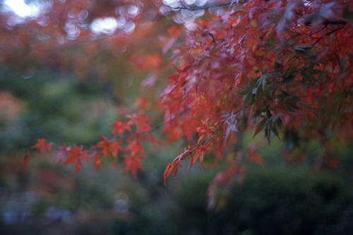 img620ss.jpg