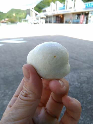 20160913153213692.jpg