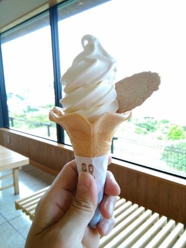 20160915105450297.jpg