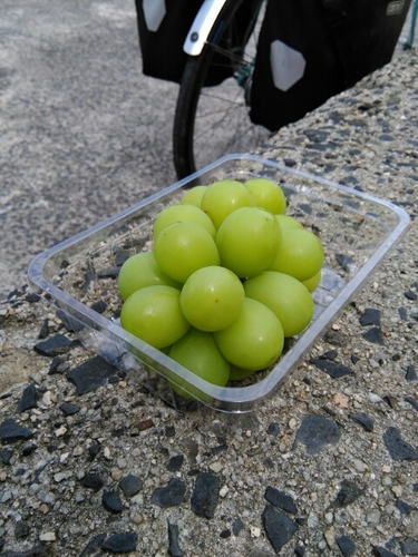 20160915131257651.jpg
