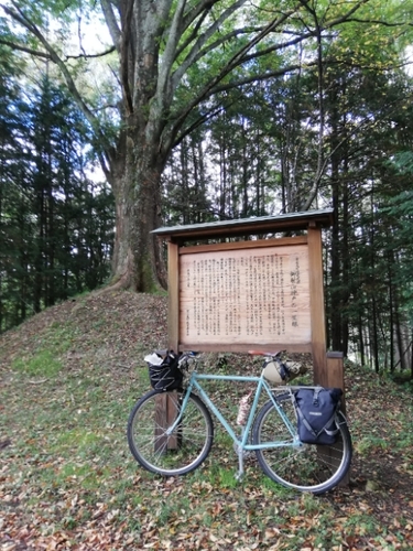 20201014142403787.jpg
