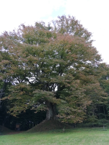 20201014142508999.jpg