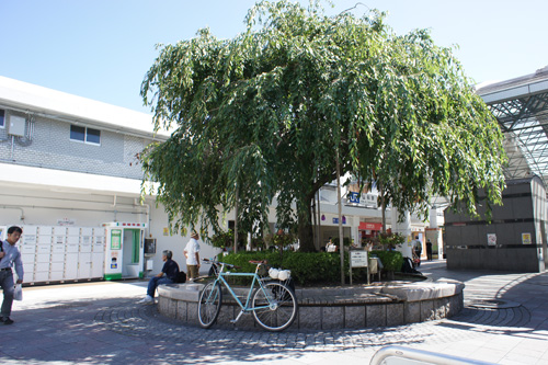 DSC00492.jpg