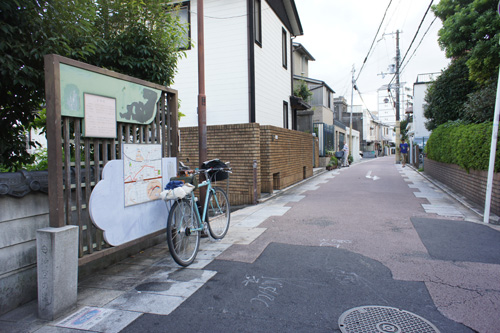 DSC00565.jpg