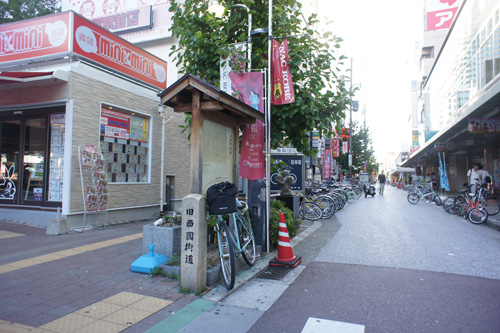 DSC00664.jpg