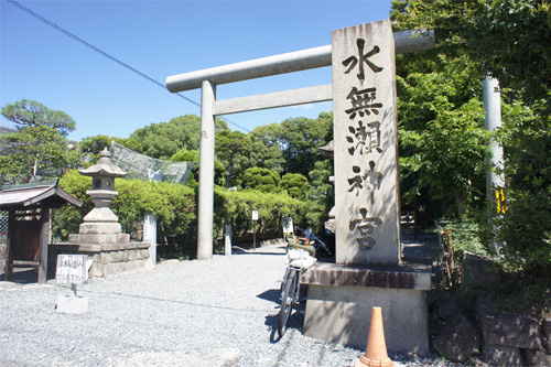 DSC00726.jpg