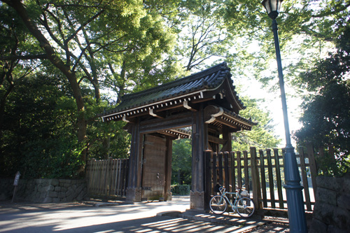 DSC00784.jpg
