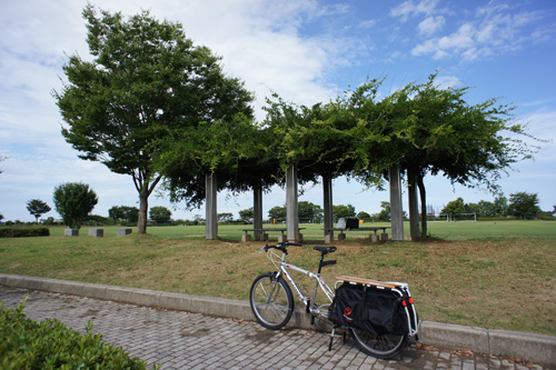 DSC00976.jpg