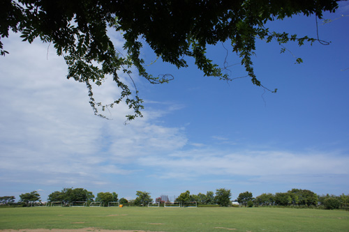 DSC00987.jpg