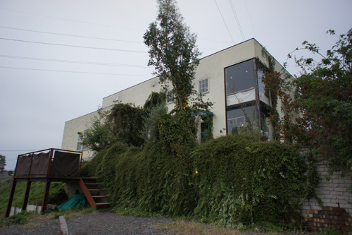 DSC01675.jpg