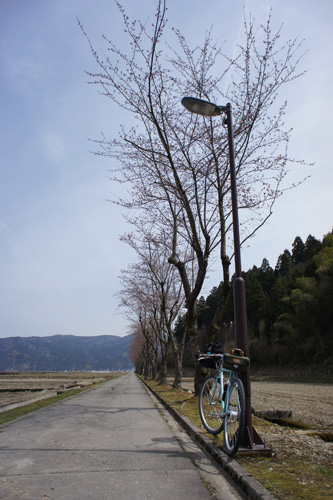 DSC03591.jpg