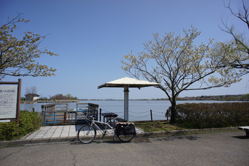 DSC03705.jpg