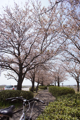DSC03739.jpg