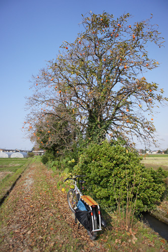 DSC05909.jpg