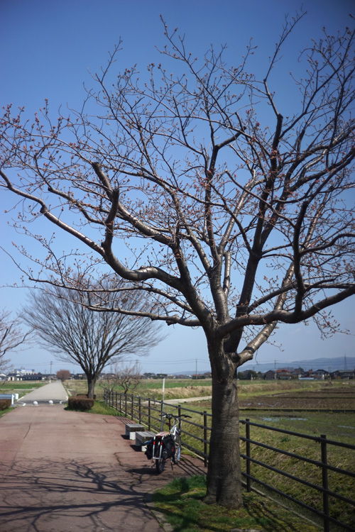 DSC07695.jpg
