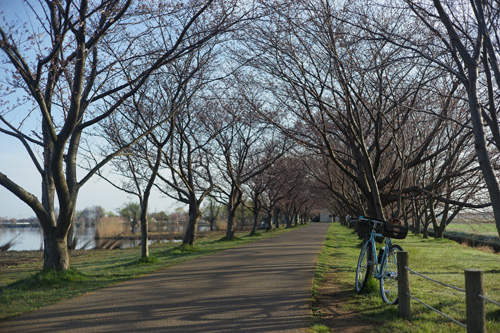 DSC07738.jpg