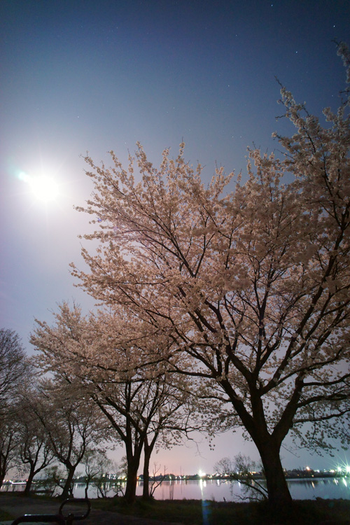 DSC08168r.jpg