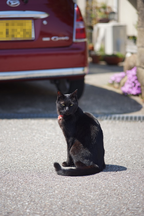 DSC08309.jpg
