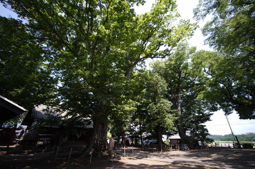 DSC08599.jpg