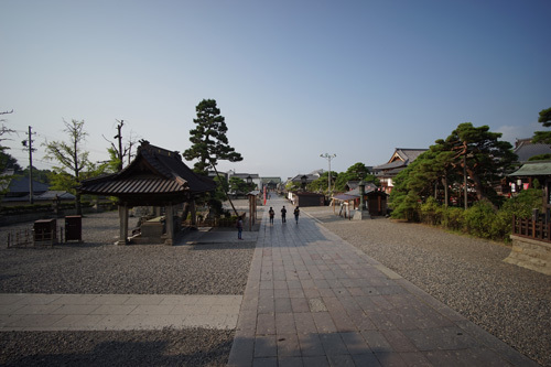 DSC08677.jpg