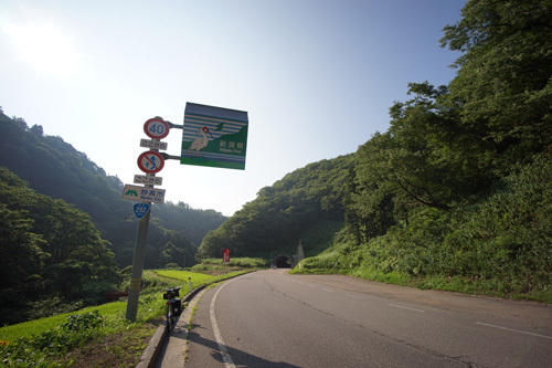 DSC08754.jpg