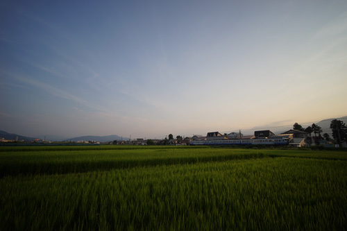 DSC08765.jpg