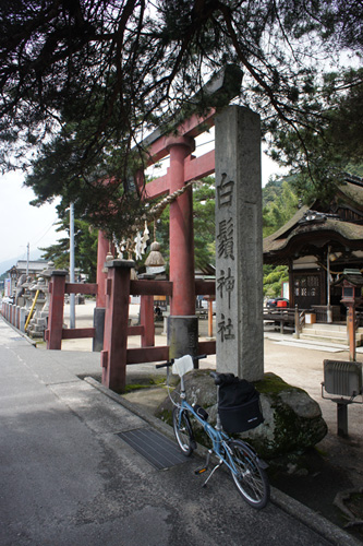 DSC09118.jpg