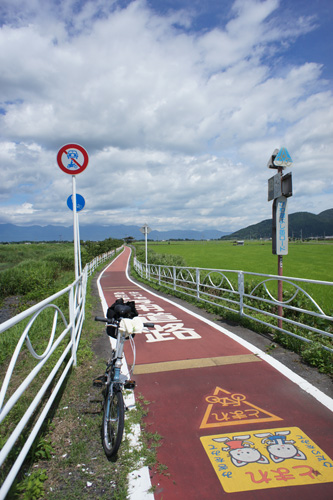 DSC09353.jpg
