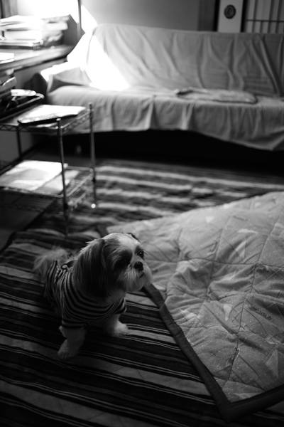 IMG_0700s.jpg