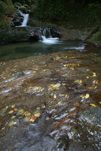 IMG_3053s.jpg