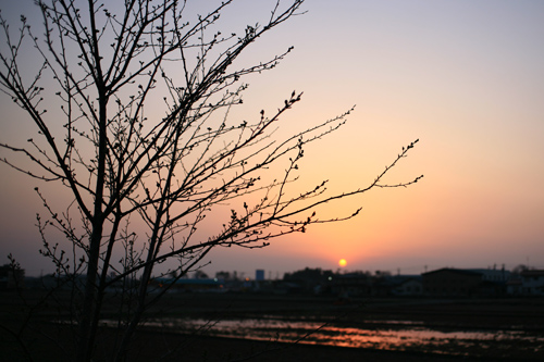 IMG_4384s.jpg