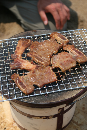 IMG_4803ss.jpg