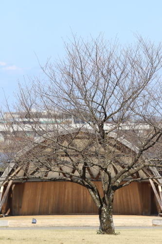 IMG_6836.JPG