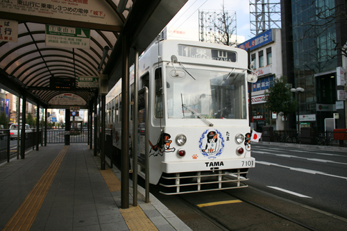 IMG_8607.jpg