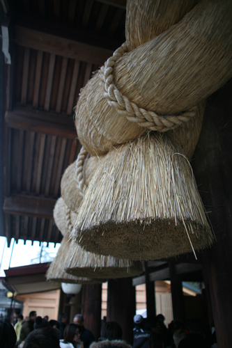 IMG_8761.jpg
