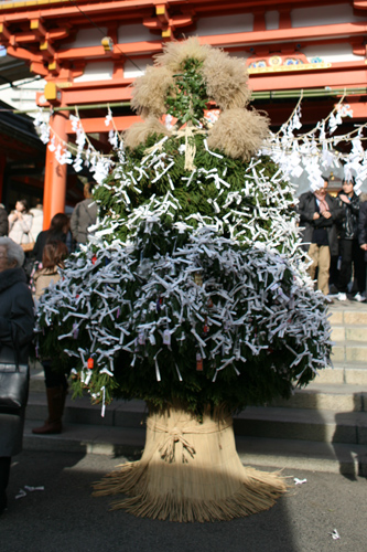 IMG_8982.jpg