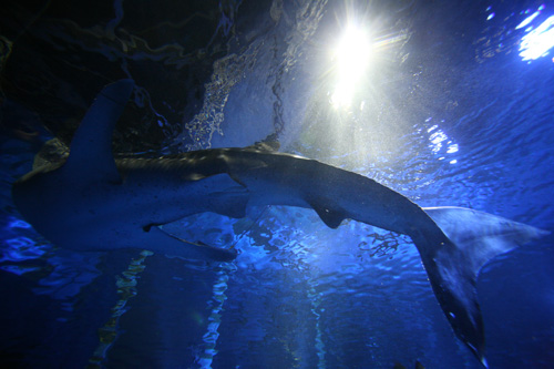 IMG_9864.jpg