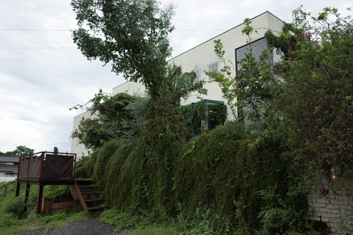 R0000600.jpg