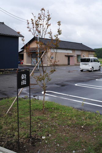 R0003426.jpg