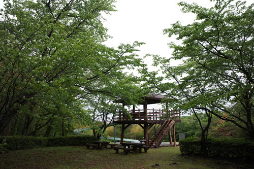R0003434.jpg