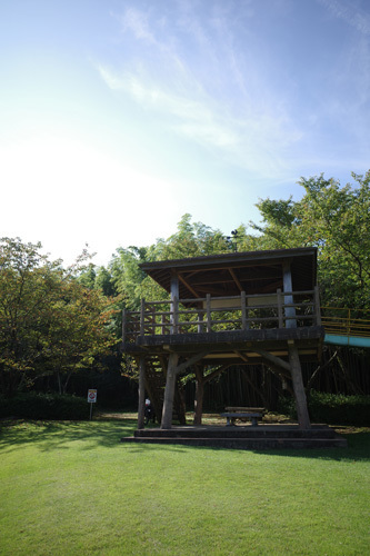 R0006177.jpg