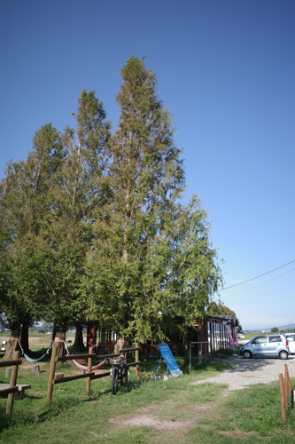 R0006295.jpg