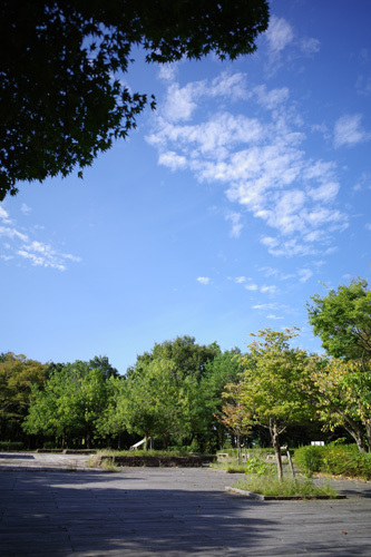 R0006442.jpg