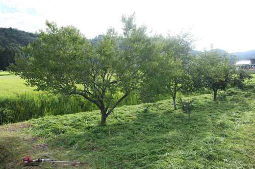 R0006533.jpg
