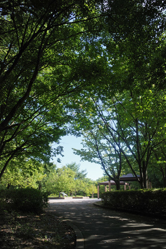 R0006544.jpg