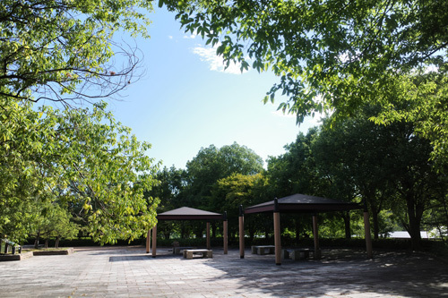 R0006546.jpg