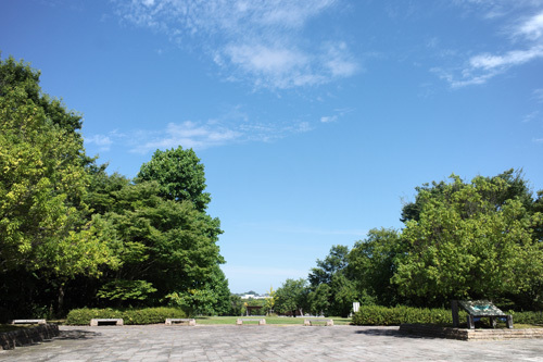 R0006639.jpg