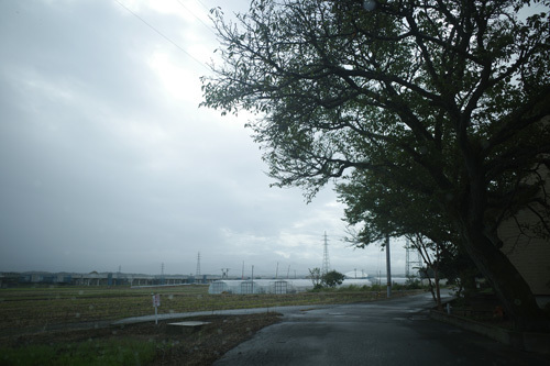 R0006651.jpg