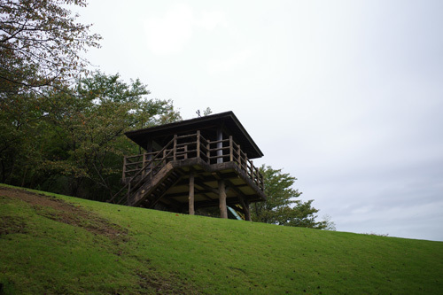 R0006658.jpg