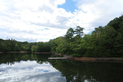 R0006777.jpg